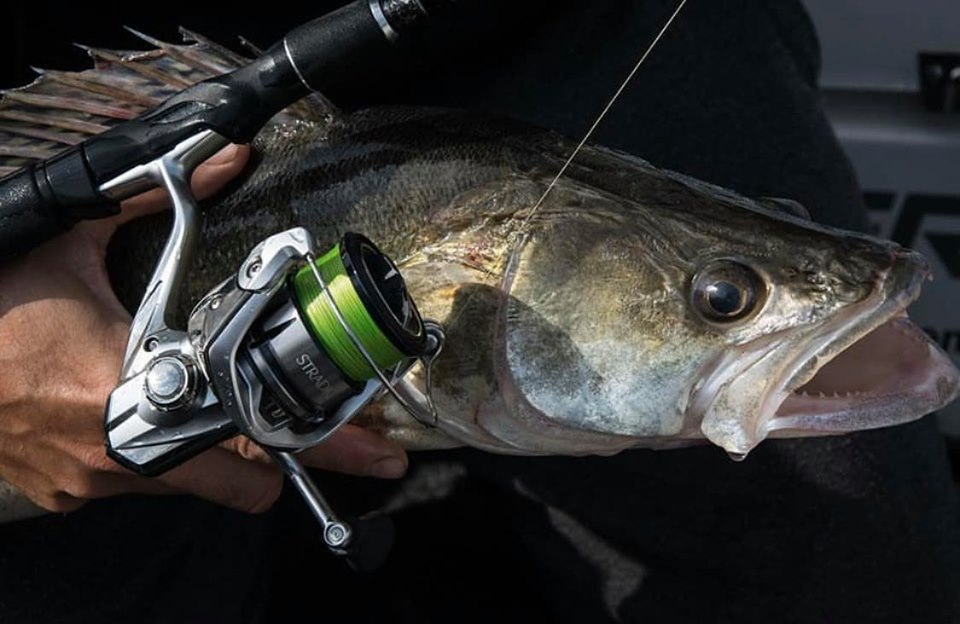 Zo maakt Shimano de beste molens en reels ter wereld – Japans vakmanschap