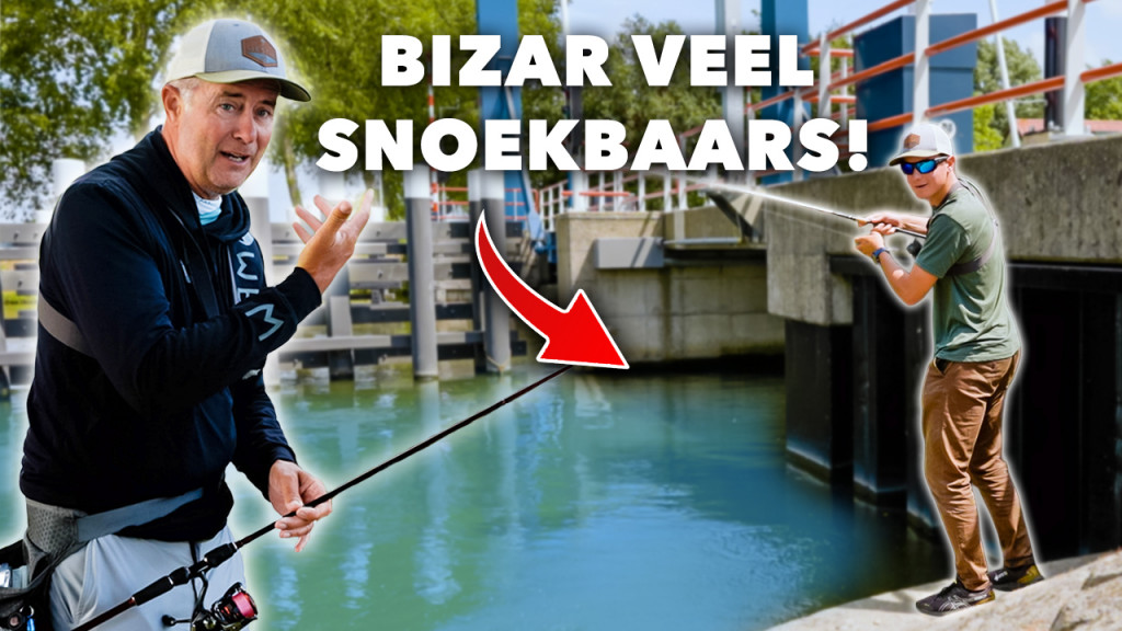 ***VIDEO***
