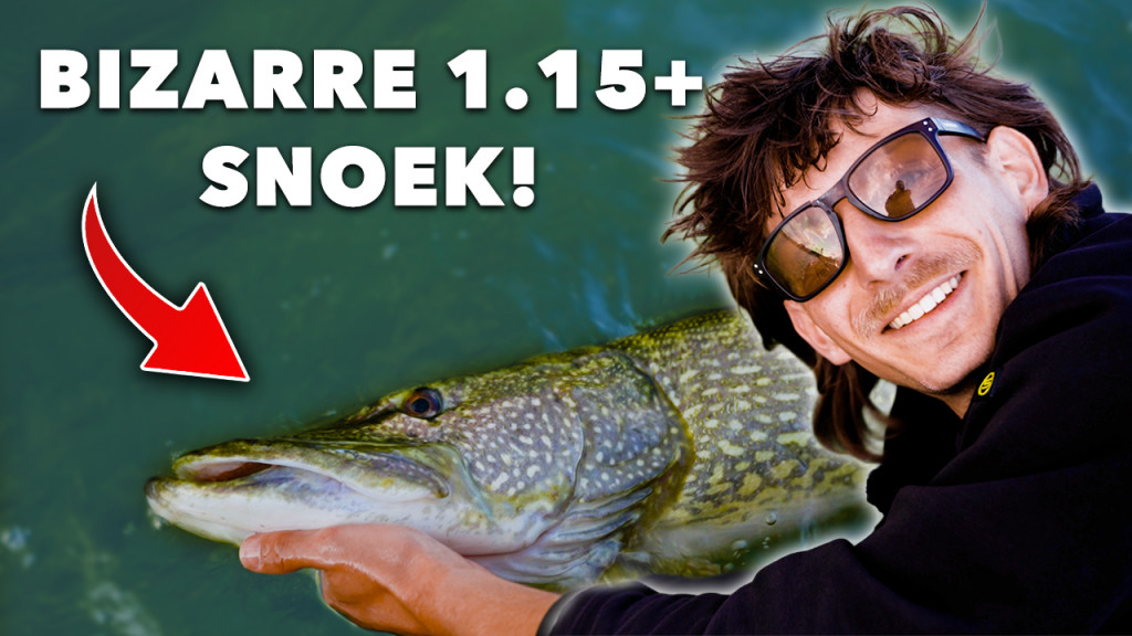 ***VIDEO*** DIKKE METERSNOEK op klein aas! Zo vang JIJ ze in de ZOMER!