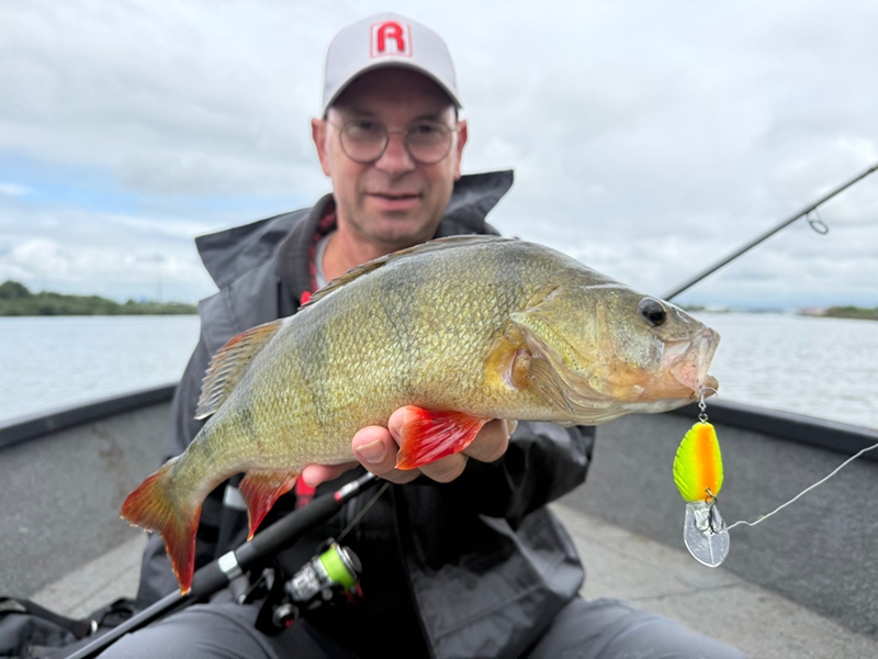 Dit is dé periode om met crankbaits te vissen!