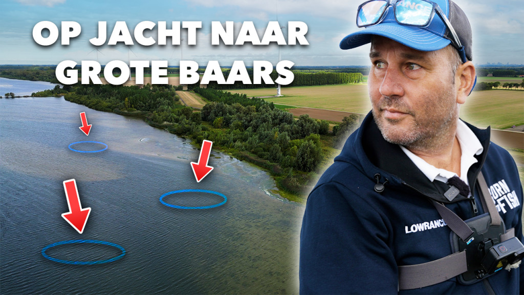 ***VIDEO*** Dit zijn DE STEKKEN voor GROTE BAARS in de ZOMER/HERFST!