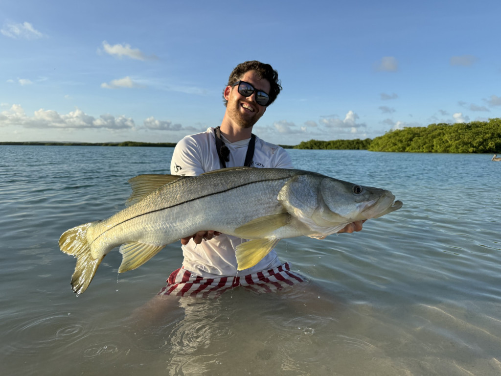 Absolute DROOMVIS tijdens Roofmeister trip in de tropen!