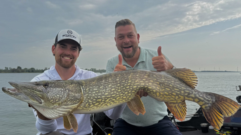 Beleef de herfst vol roofvis – Vanaf de boot of in de polder!