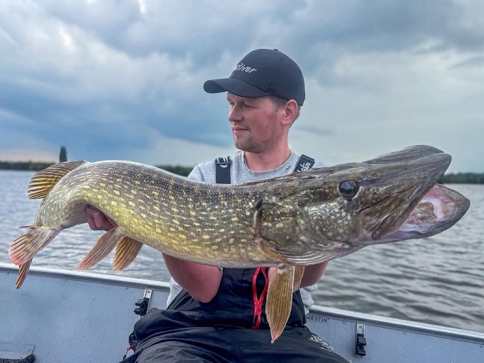 Roofmeister INSIDE: Migraine snoekbaars, roofblei van 86 cm, NL haaien & albino meerval!