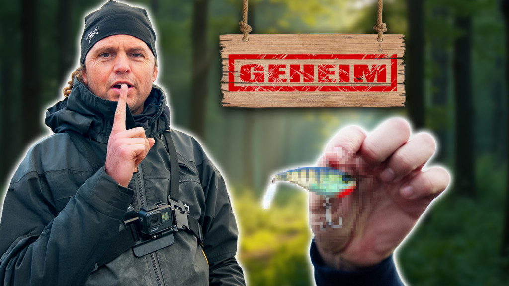 ***VIDEO*** NIEMAND VIST NOG MET DIT GEHEIME KUNSTAAS OP BAARS!