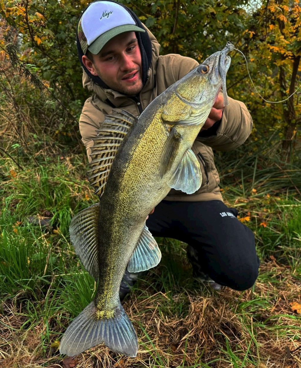 Hoe bepaal je met werpen op snoekbaars de juiste balans in je loodkop?