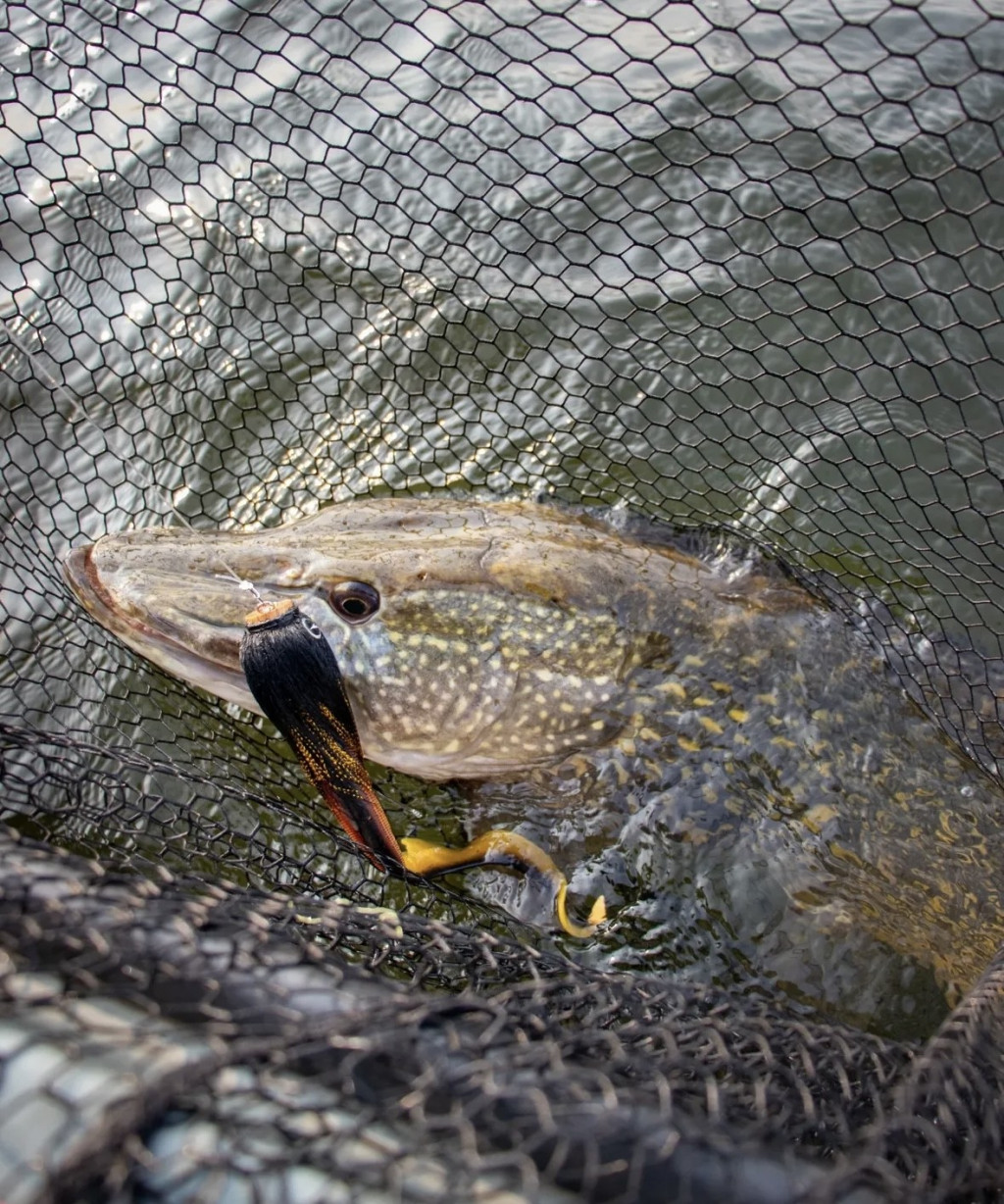 Hiermee lok jij trage wintersnoek uit de tent!