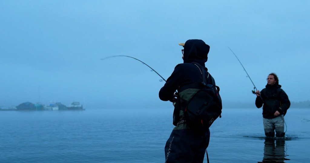 Dit zijn DRIE tips om MEER roofvis te vangen in de herfst!