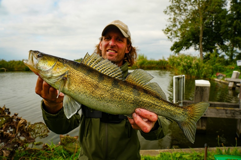 Roofmeister INSIDE: Recente dood aas mega snoeken & waden op monsters!