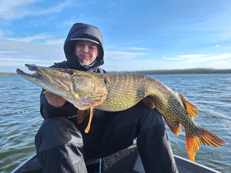 Roofmeister INSIDE: 123 cm snoek, 53 cm baars & de twitchbait met vraagtekens!