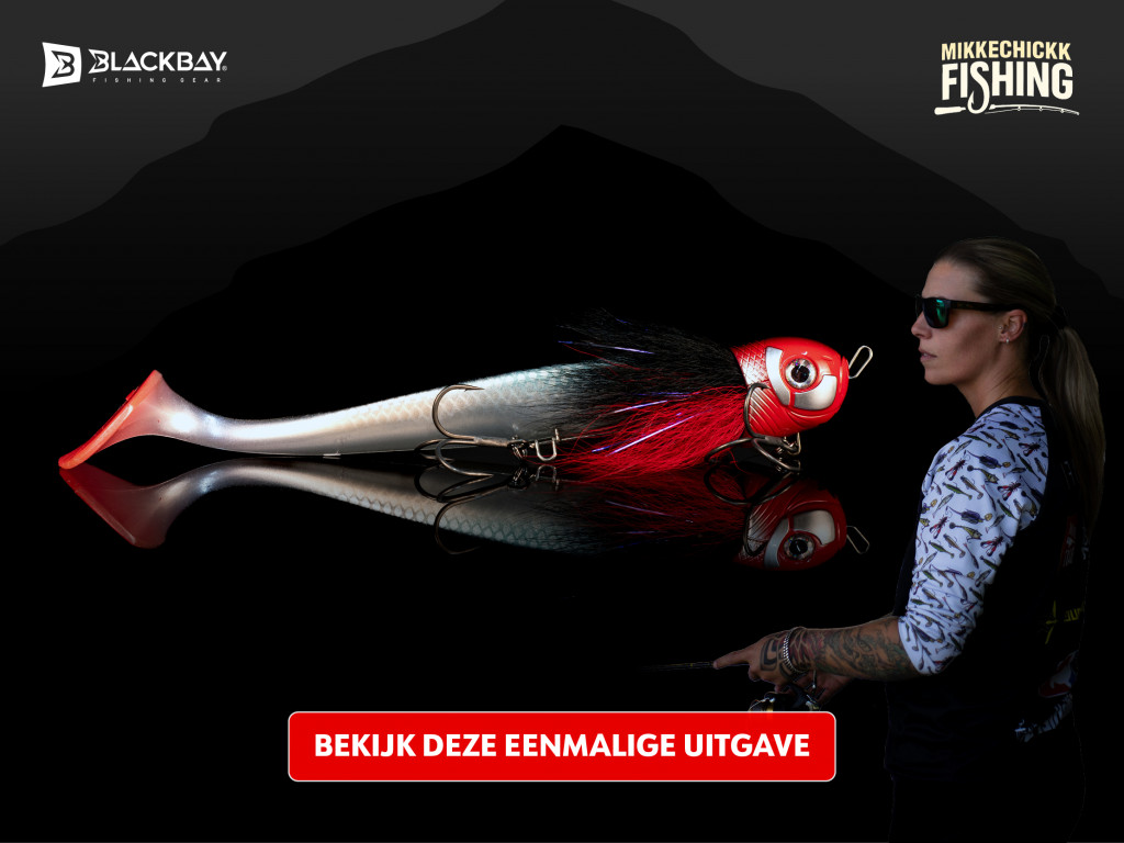 Op zoek naar een uniek stuk kunstaas?