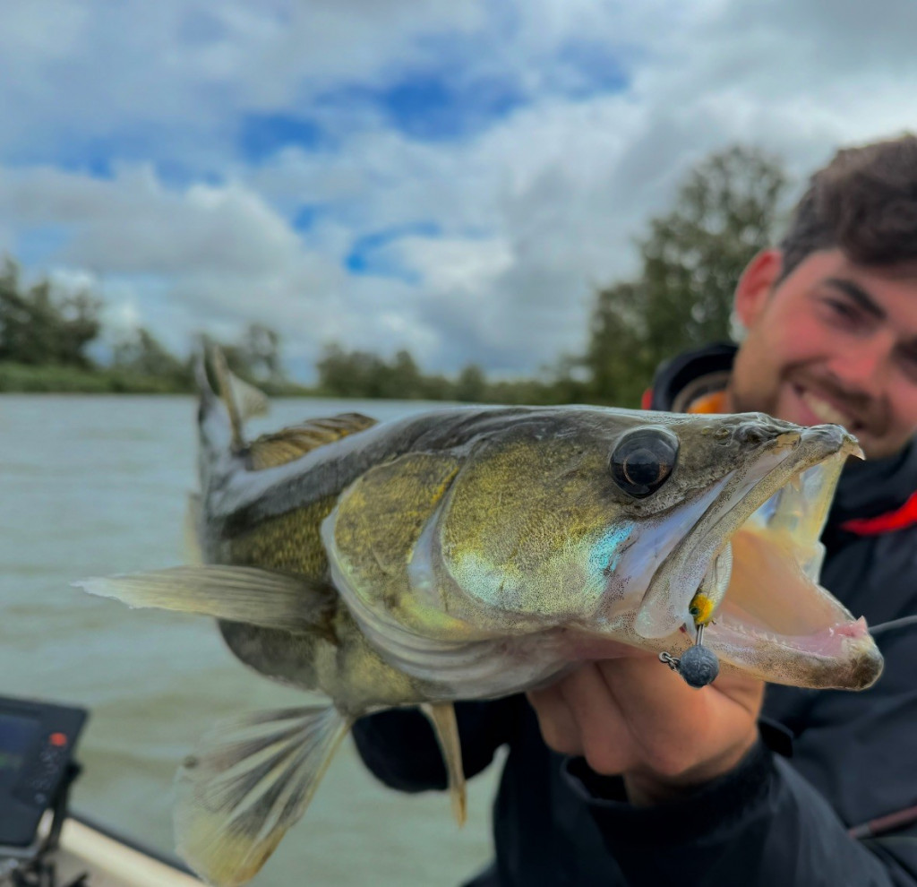 Hoe bepaal je of een loodkop geschikt is voor je shad?