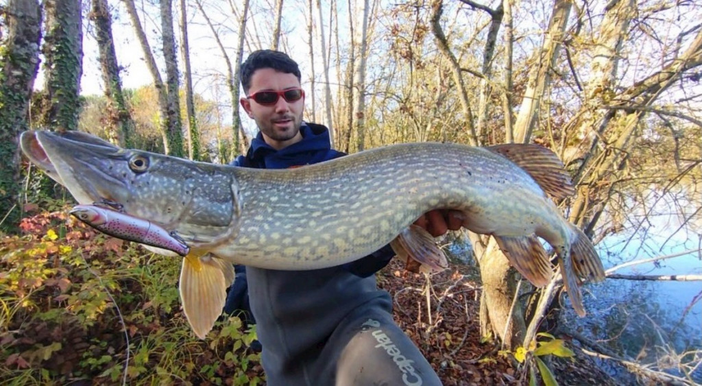 Deze polder killer moet je hebben!