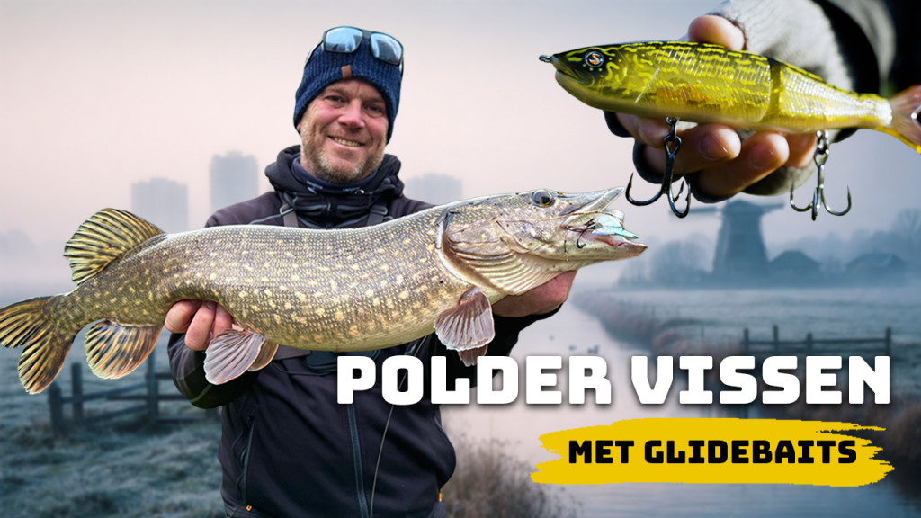 ***VIDEO*** Snoek vissen in woonwijken – Zo trigger je luie snoek in de winter!