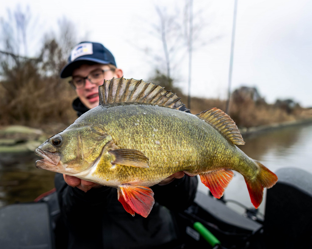 Het geheim achter wel of geen aanbeten