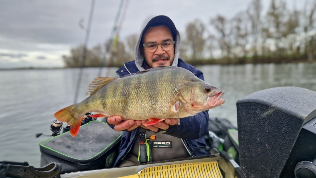 Drie 120+ snoeken en een baars van 52 en 51 cm – Uitslag Bak vd Maand DEC