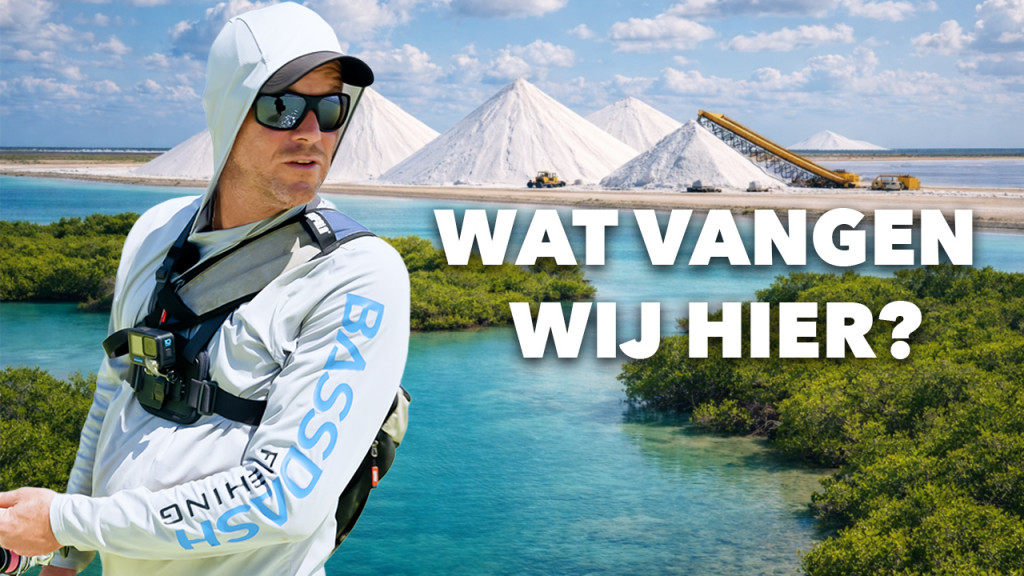 ***VIDEO*** VEEL BIJZONDERE VISSEN EN EEN BONUS MONSTER OP BONAIRE!