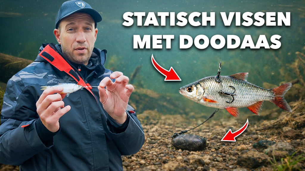 ***VIDEO*** DIT IS DE MAKKELIJKSTE MANIER OM METERSNOEKEN TE VANGEN!