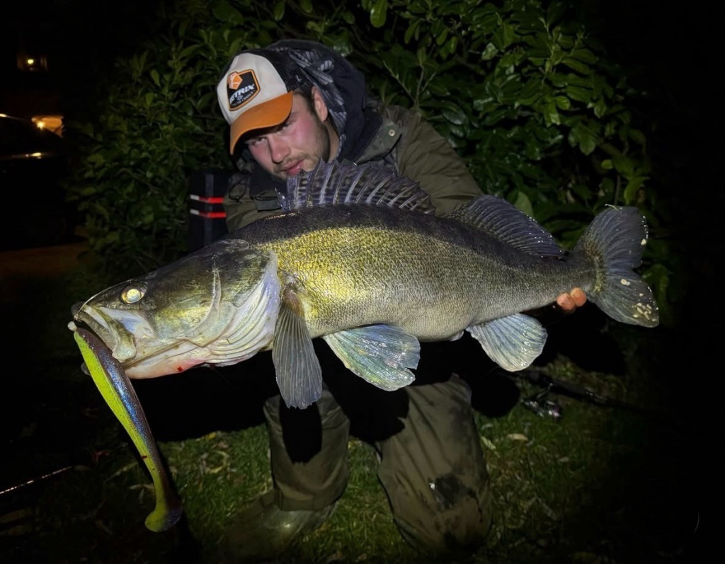 Grote roofvis is lui: Feit of Fabel?