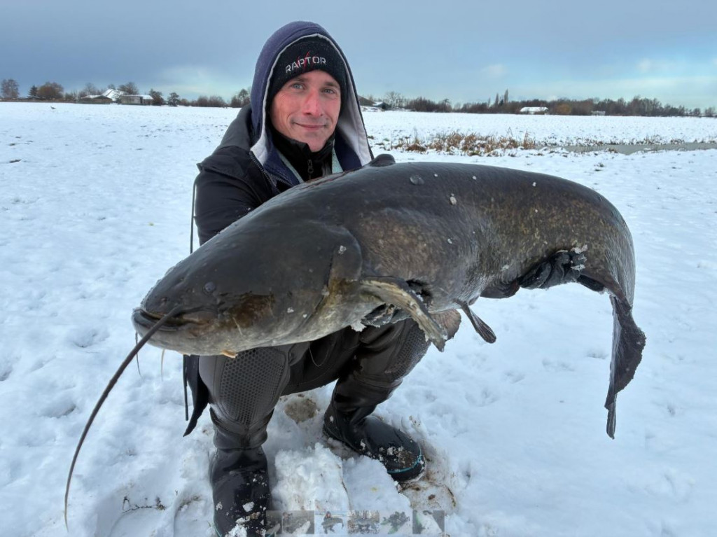Wanneer op meerval? Nu! Juist nu!