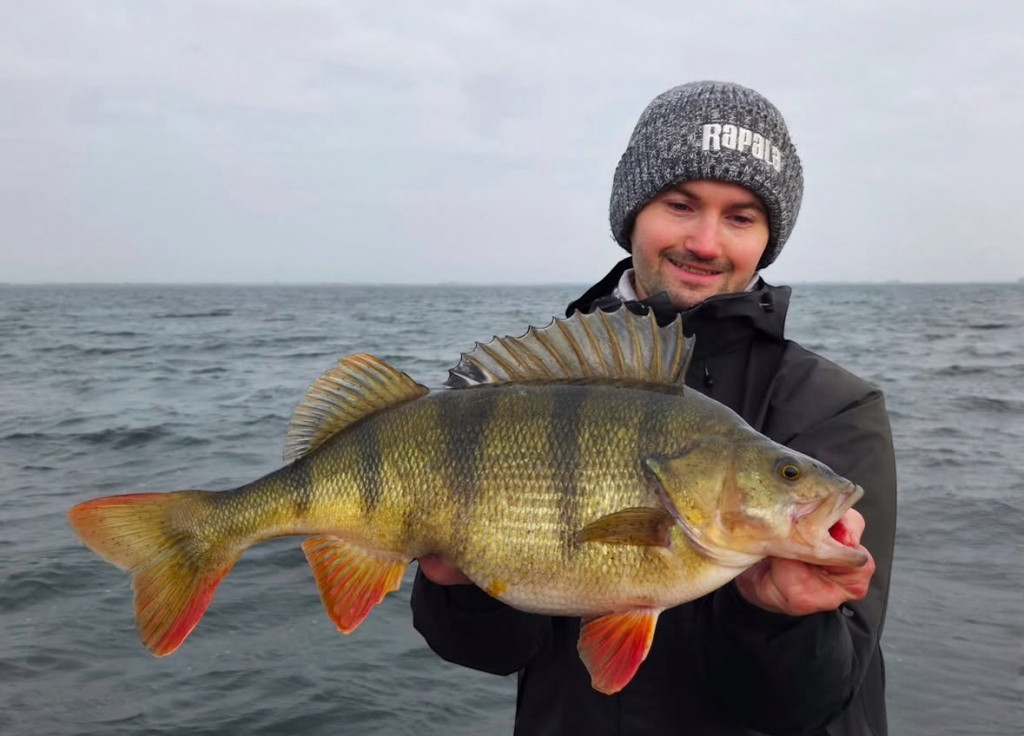 Dit heb je nodig in je jacht op GROTE BAARS!