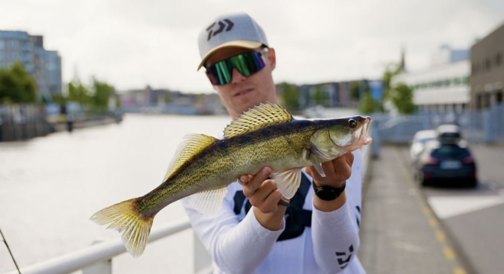 Dit is de perfecte set voor roofvis als je net begint!