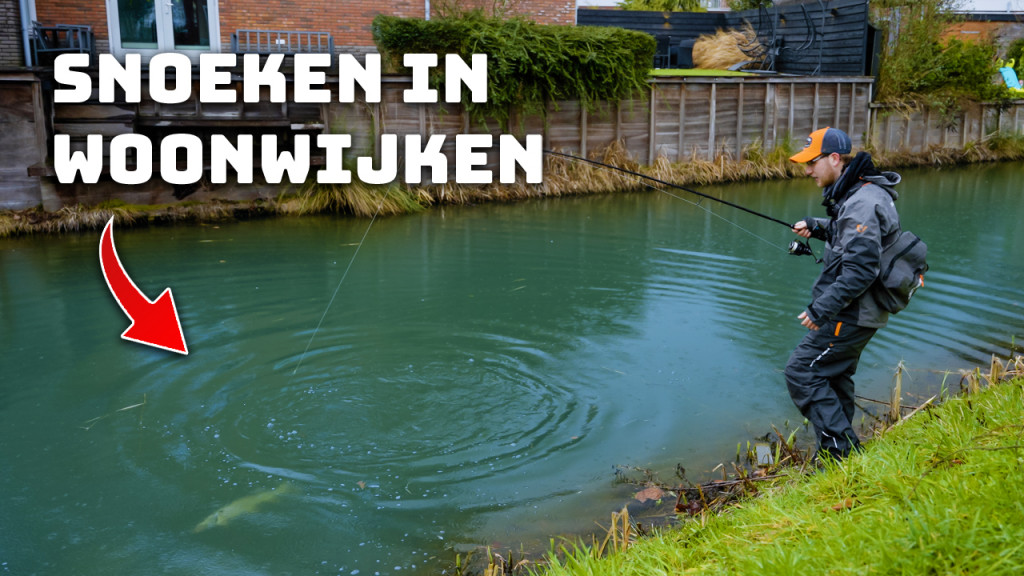 ***VIDEO*** DIT vang je met GROOT KUNSTAAS in een WOONWIJK