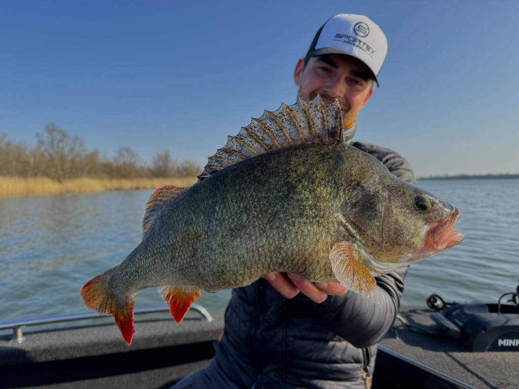 3 tips voor het vissen in het voorjaar!