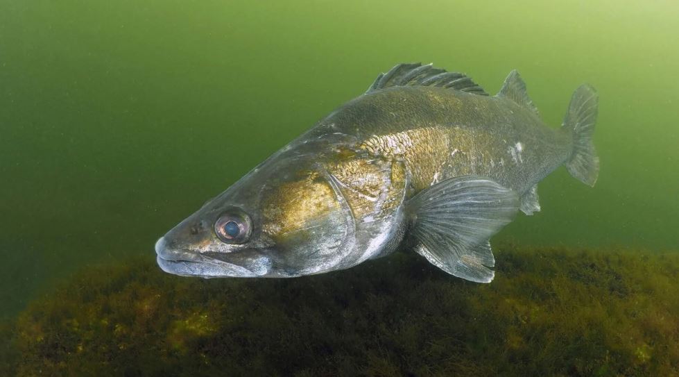 Dit zijn vijf veel gestelde vragen over de gesloten tijd!