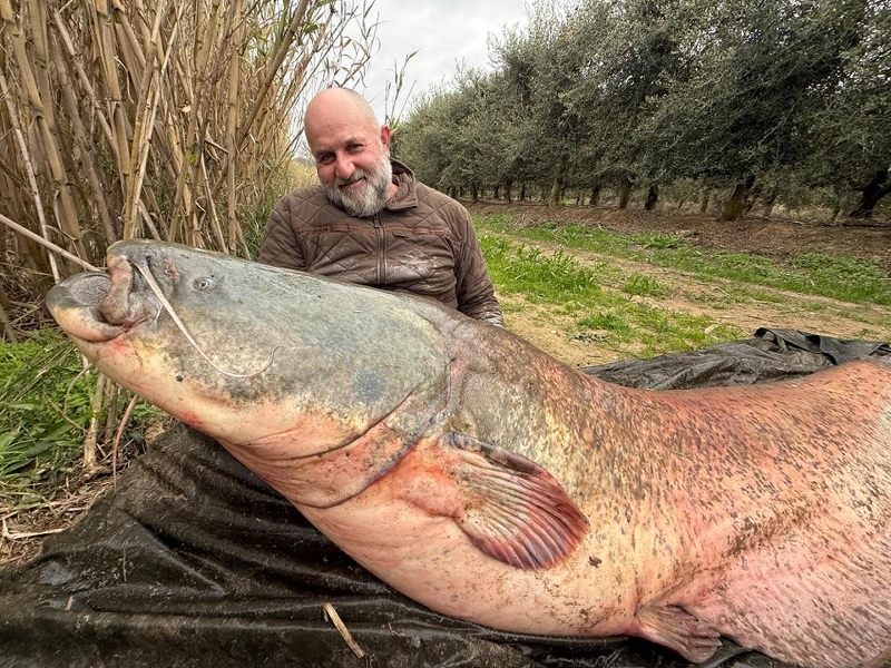 Roofmeister INSIDE: Zo vis je met de Ned rig & GIGA meervallen!