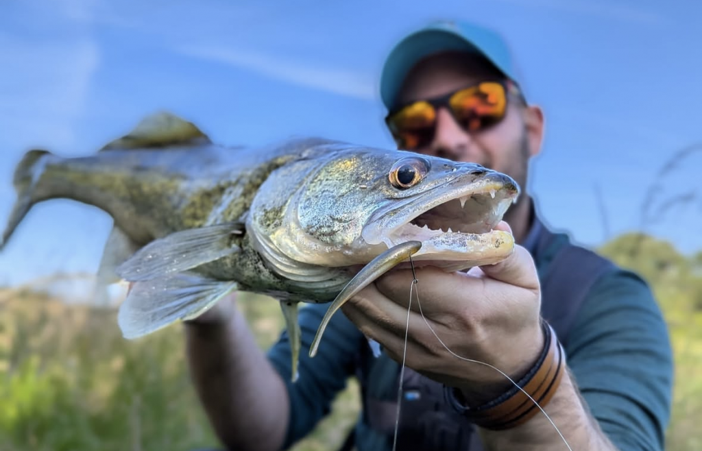Bijna onverwoestbare shads & suspending crankbait