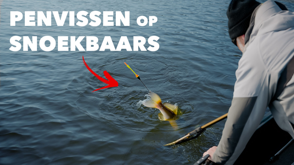 ***VIDEO*** ALLES over VISSEN met de DOBBER OP SNOEKBAARS
