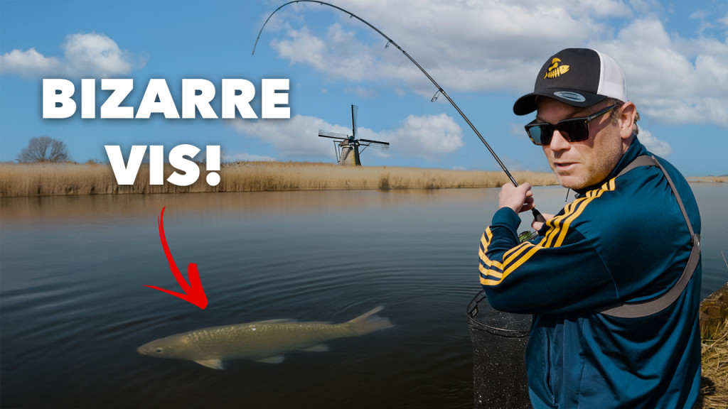 ***VIDEO*** Deze GROTE VIS hadden wij NOOIT VERWACHT! – Alles over VISSEN OP ROOFBLEI