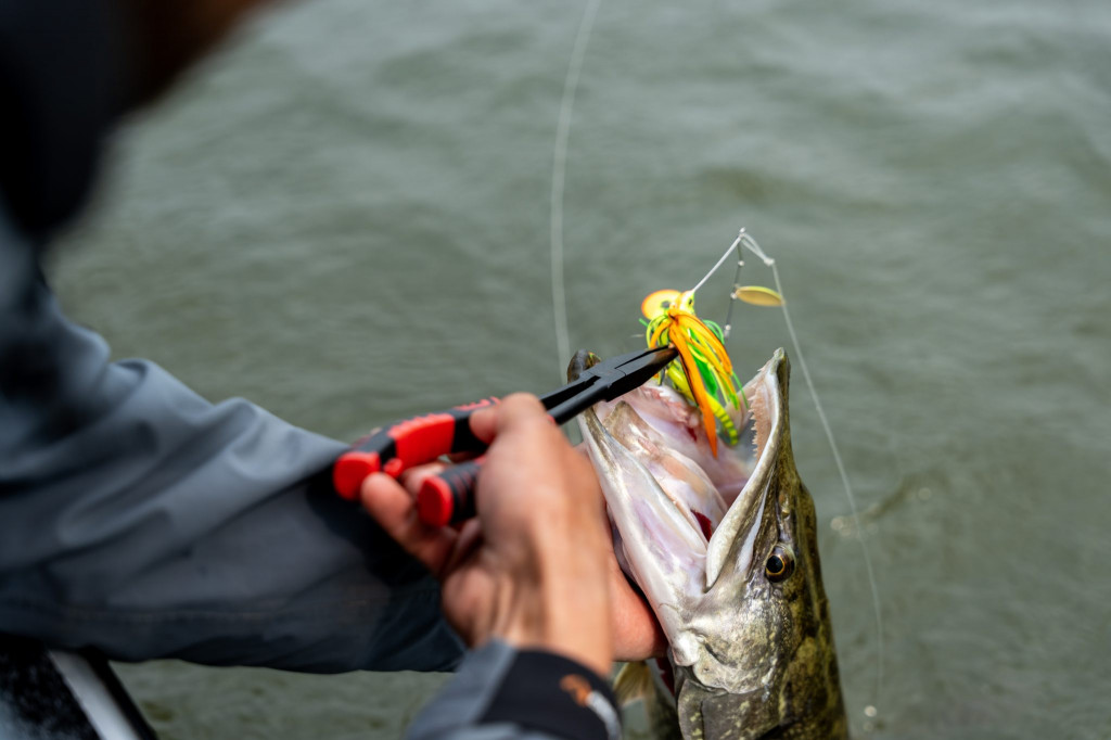 Spinnerbaits – Dé troef na de seizoensstart!