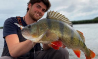 Vijf crankbaits voor verschillende omstandigheden><span class=