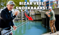 ***VIDEO*** LEER ALLES over SNOEKBAARS VISSEN vanaf DE KANT!><span class=