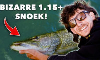***VIDEO*** DIKKE METERSNOEK op klein aas! Zo vang JIJ ze in de ZOMER!><span class=