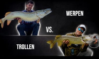 Trollen VS Werpen op snoek – Alle voor- én nadelen!><span class=