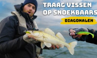 ***VIDEO*** Verticaal op snoekbaars maar dan anders!><span class=