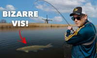***VIDEO*** Deze GROTE VIS hadden wij NOOIT VERWACHT! – Alles over VISSEN OP ROOFBLEI><span class=