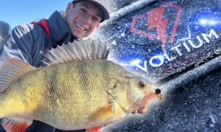 Waarom steeds meer vissers kiezen voor een Nederlands accumerk