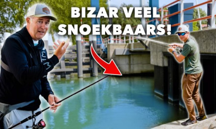***VIDEO*** LEER ALLES over SNOEKBAARS VISSEN vanaf DE KANT!