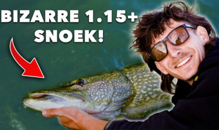 ***VIDEO*** DIKKE METERSNOEK op klein aas! Zo vang JIJ ze in de ZOMER!