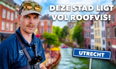 ***VIDEO*** Wij VANGEN BIZAR VEEL SNOEKBAARS in UTRECHT!