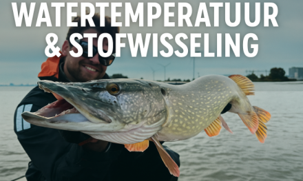 Welke invloed heeft de temperatuur van het water op de stofwisseling van vissen?