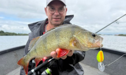 Dit is dé periode om met crankbaits te vissen!