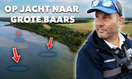 ***VIDEO*** Dit zijn DE STEKKEN voor GROTE BAARS in de ZOMER/HERFST!