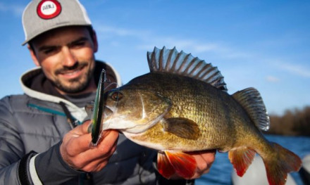 Het geheim achter de Berkley DEX Stunna!