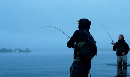 Dit zijn DRIE tips om MEER roofvis te vangen in de herfst!