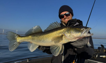 Live sonar voor rookies! – Dit zijn de eerste indrukken van Luc